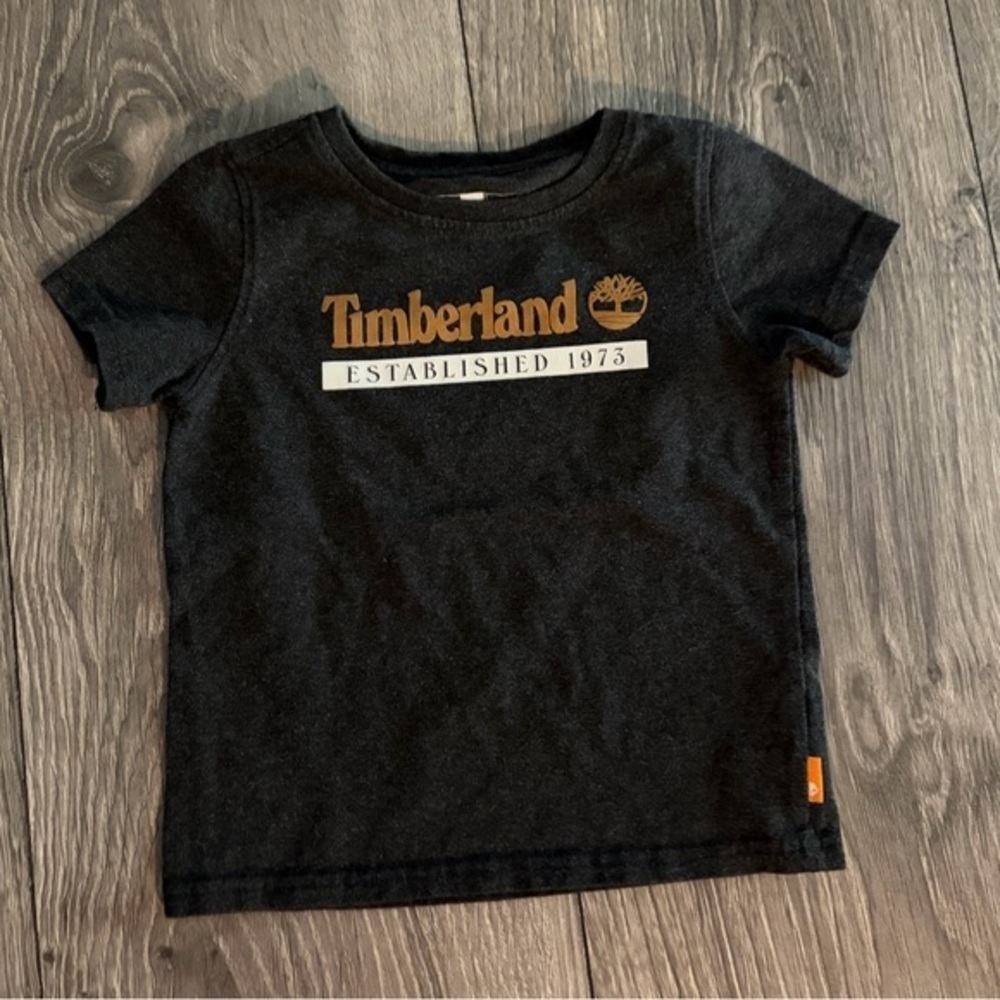 Timberland Kids Tee in Gray Dark  with Gold Logo 24 M